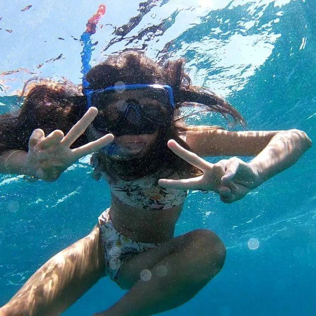 Rovinj: Red Island and Pirate Cave speedboat tour - Choosing Between Villas Rubin and Valdibora