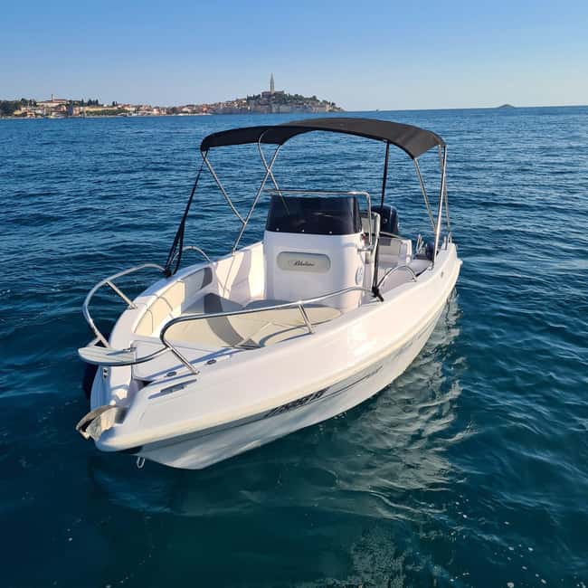 Rovinj: Shared Dolphin and Sunset Tour with Drinks - What The 1.5 Hours Feel Like