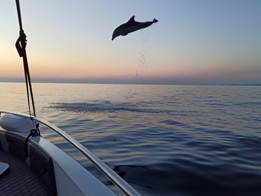 Rovinj: Sunrise Dolphins & Fishermen at Work Speedboat Tour - Returning With a Sea-Level View of Rovinj