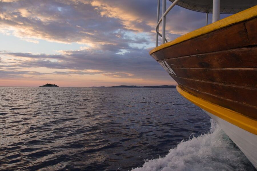 Rovinj: Sunset Boat Trip with Dolphin Watching - Searching for dolphins in the open Adriatic