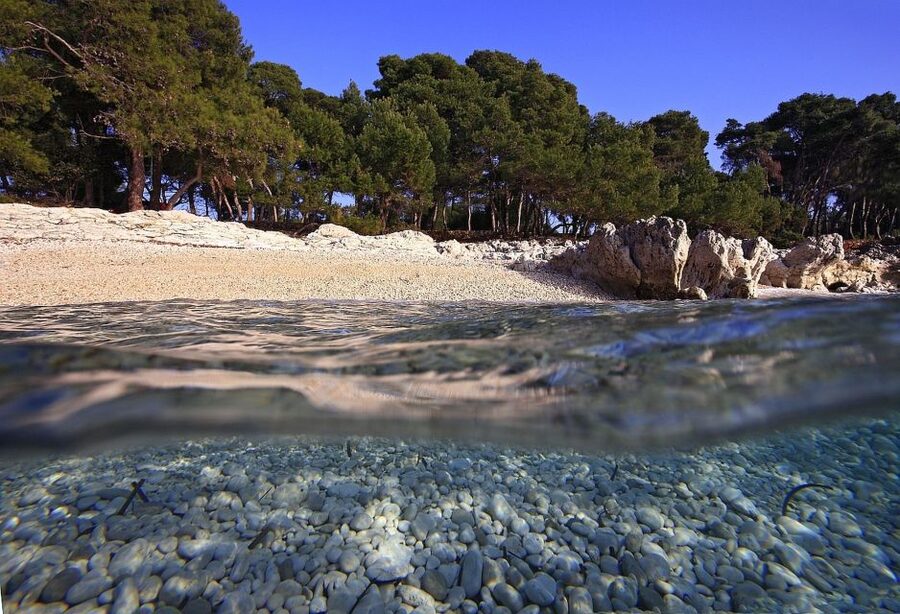 Sakarun Beach Full-Day Guided Tour from Zadar - Who should book this Sakarun day trip?