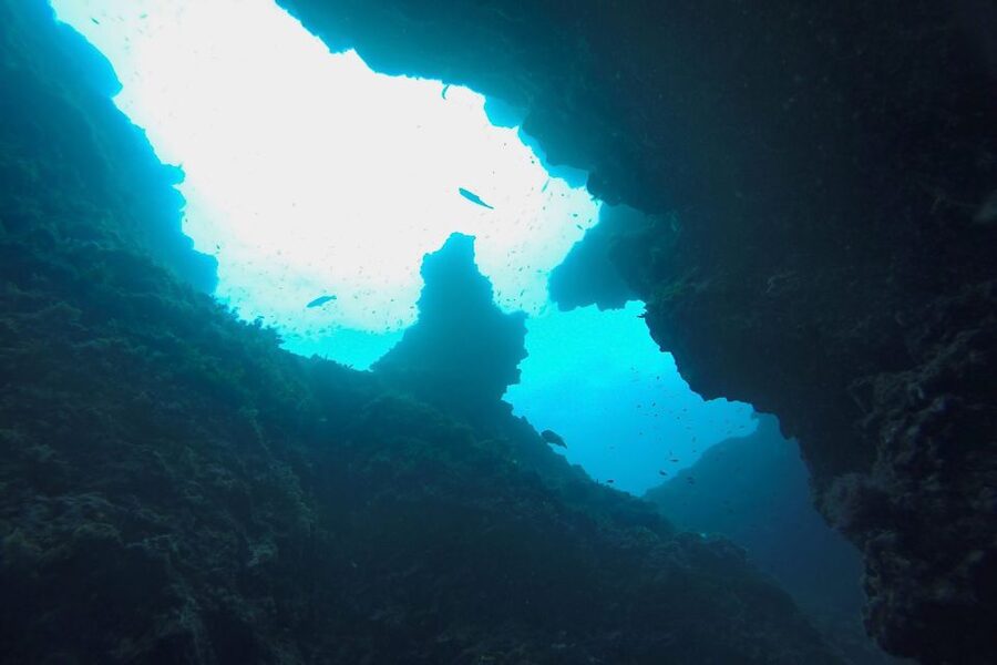 Scuba Diving in Dubrovnik: 1 Dive for Certified Divers - Meeting at Dubrovnik Palace hotel