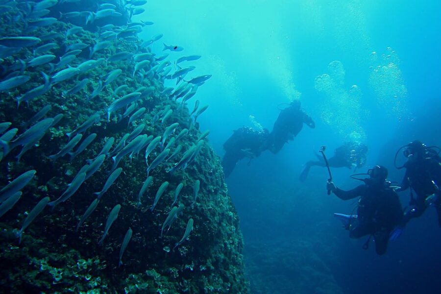 Scuba Diving in Dubrovnik: 1 Dive for Certified Divers - How the guide affects the experience