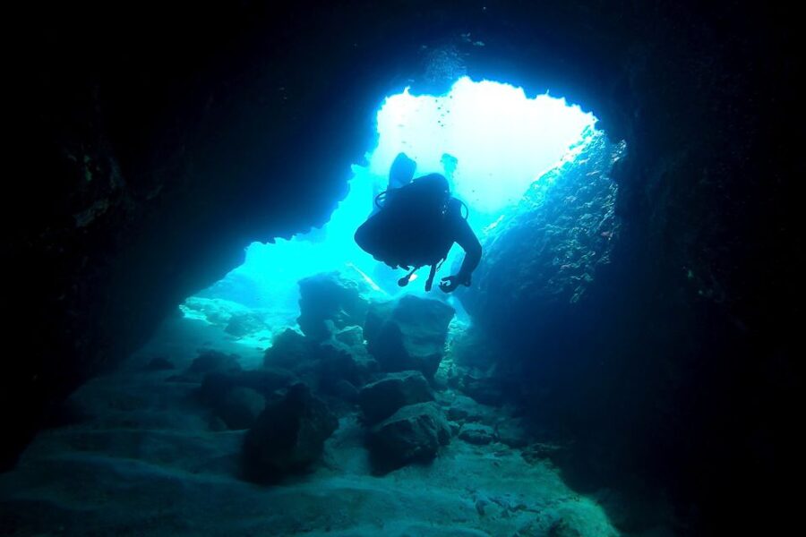 Scuba Diving in Dubrovnik: 1 Dive for Certified Divers - Who should book this experience?