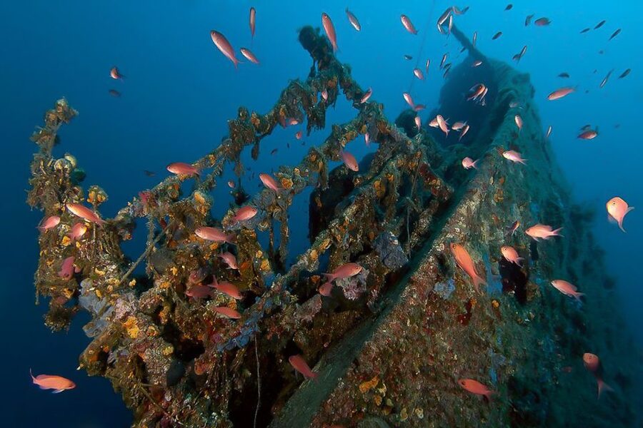 Scuba Diving in Dubrovnik: 1 Dive for Certified Divers - Choosing among 12 Adriatic sites