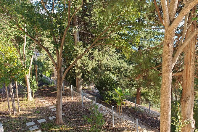 Secret Marjan Park Hiking Tour in Split - Stories behind Marjan Park’s old cemetery