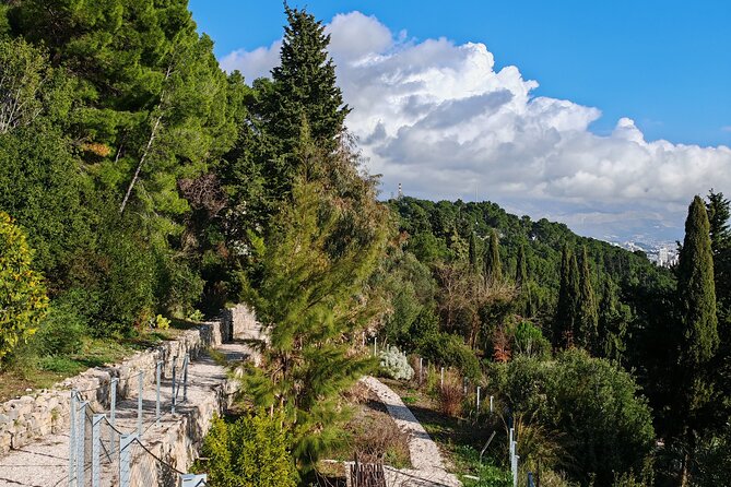 Secret Marjan Park Hiking Tour in Split - Under the pine trees above Split’s beaches