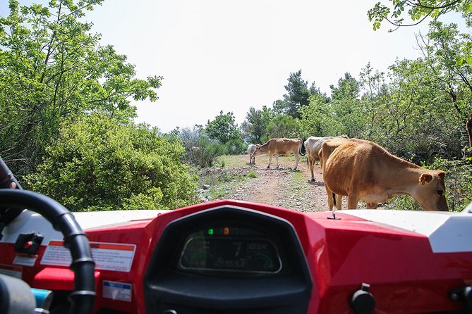 Self-drive Off Road Buggy - Reaching the meeting point at the top