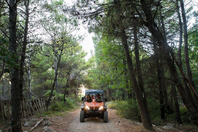 Self-drive Off Road Buggy - What the ratings tell you about the experience