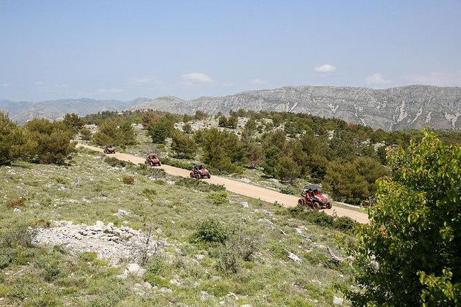 Self-drive Off Road Buggy - Who will enjoy this most?
