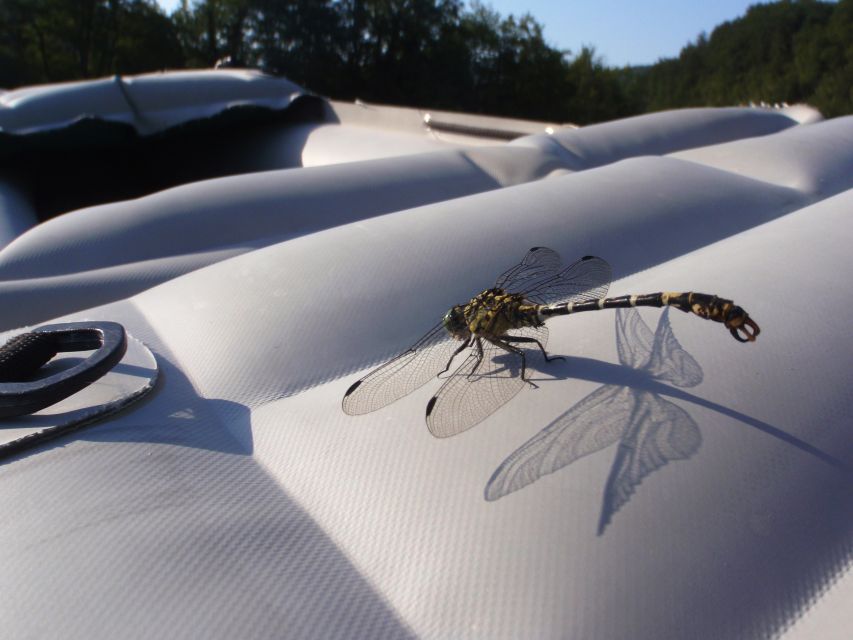 Severin na Kupi: Canoeing and Kayaking on the Kupa River - Choosing a kayak, canoe, or family raft