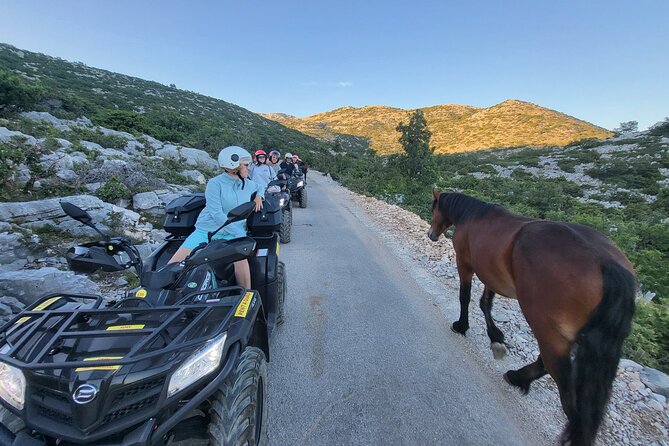 Skywalk Biokovo ATV Quad Tour - Who will enjoy this Biokovo trip most