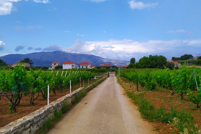 Slurp of Grk Korcula Wine Tour | Wine Tasting in Lumbarda - What the four-and-a-half-hour timing means