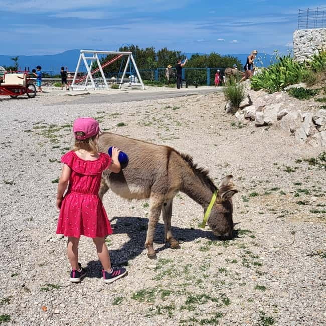 Šmrika (near Rijeka/Krk/Crikvenica) Donkey Farm Family Fun - Why this donkey farm makes a good Kvarner family stop