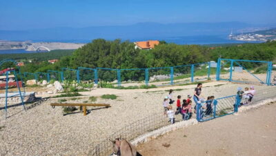 Šmrika (near Rijeka/Krk/Crikvenica) Donkey Farm Family Fun
