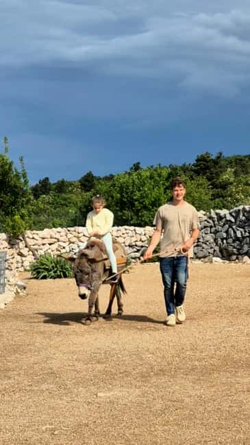 Šmrika (near Rijeka/Krk/Crikvenica) Donkey Farm Family Fun - Learning about the littoral Dinaric donkey