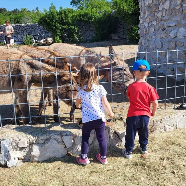 Šmrika (near Rijeka/Krk/Crikvenica) Donkey Farm Family Fun - Kvarner Bay views and a place to slow down