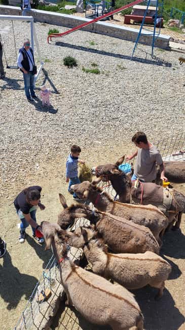 Šmrika (near Rijeka/Krk/Crikvenica) Donkey Farm Family Fun - Finding the farm from Rijeka, Krk, or Crikvenica