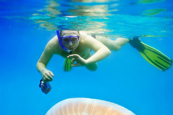 Snorkeling tour Makarska Riviera, islands of Hvar or Brač - Equipment, refreshments, and what you should bring