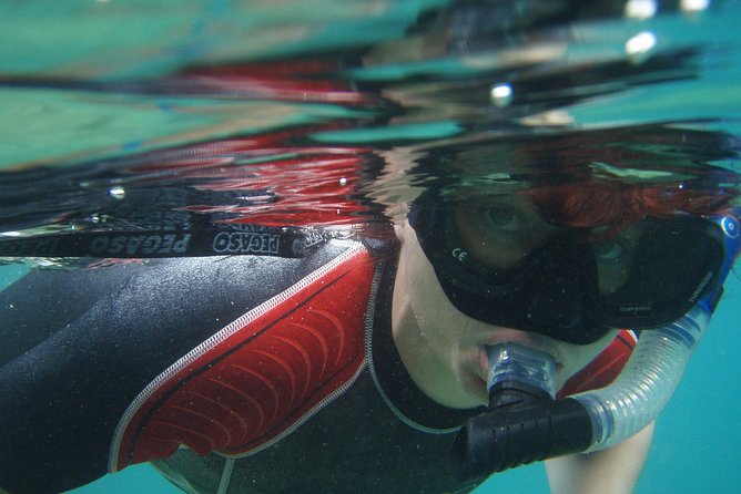 Snorkeling tour Makarska Riviera, islands of Hvar or Brač - Why the clear water makes the trip worthwhile