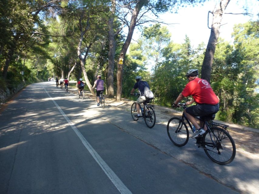 Split 3-Hour Guided Bike Tour - How much fitness do you need?