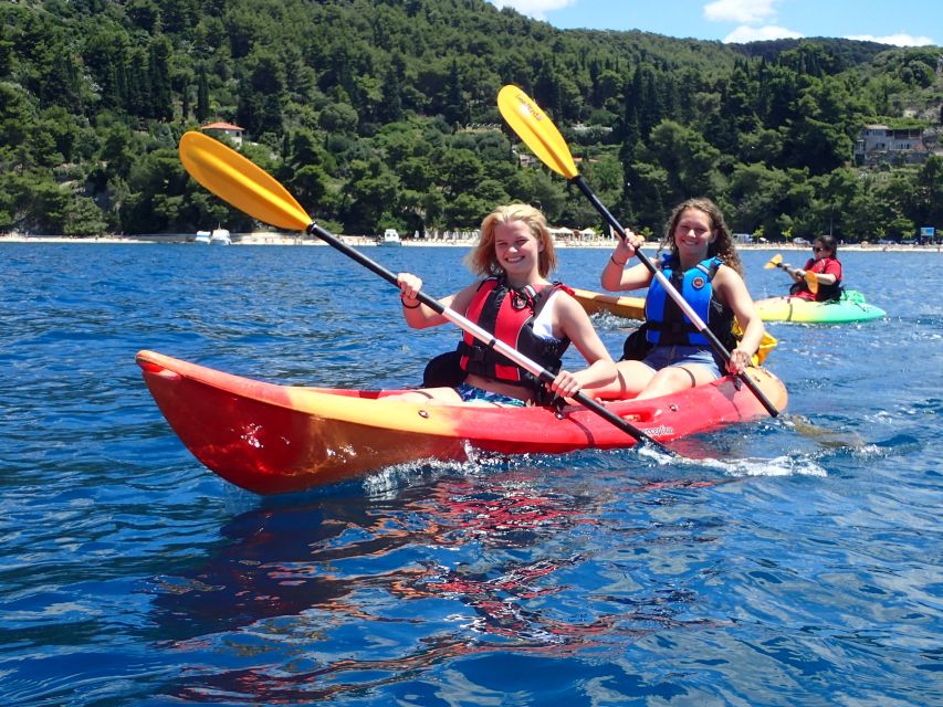 Split 4-Hour Guided Sea Kayak Tour - Key points at a glance