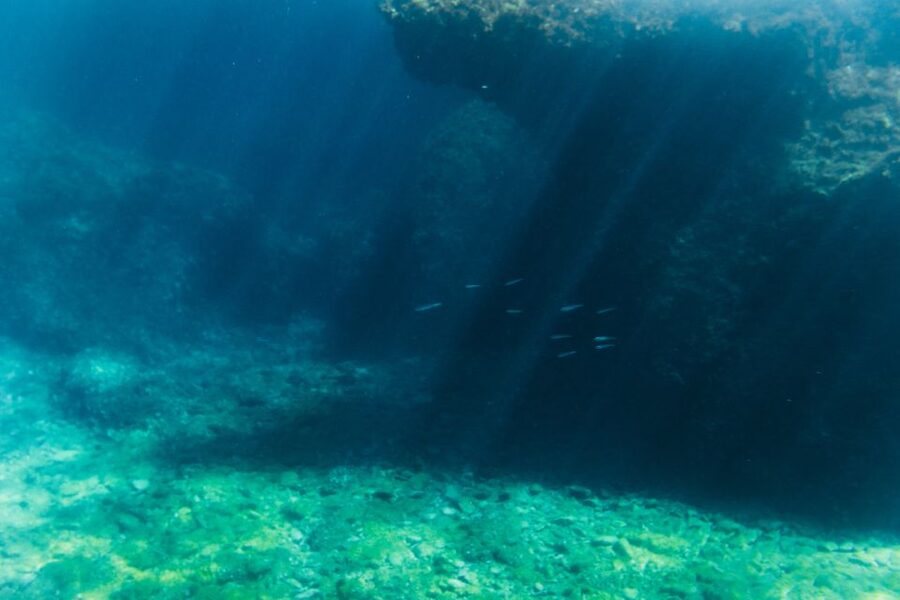 Split: 45-minute Semi-Submersible Submarine Trip - Daytime views versus the night tour