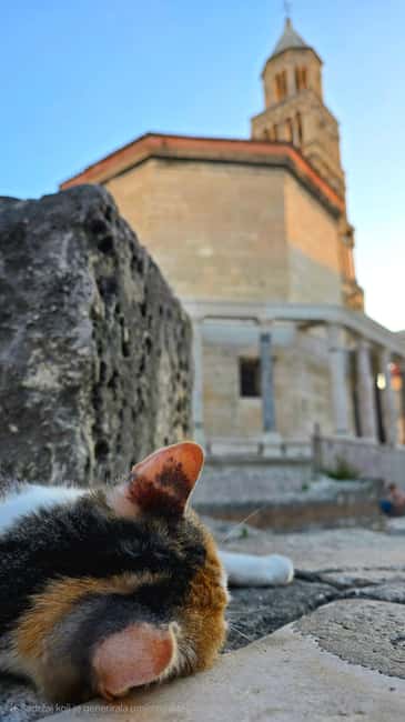 Split and Diocletian's Palace walking tour with a local guid - Why Diocletian’s Palace feels different from a normal ruin