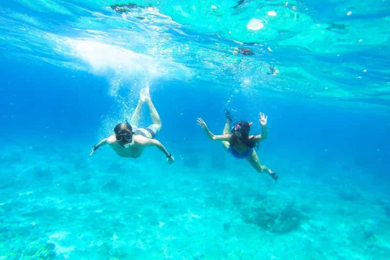 Split: Blue Lagoon, Hvar and 5 Islands Small Group Boat Tour - The speedboat, comfort, and pace