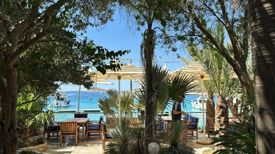 Split: Blue Lagoon, Hvar and 5 Islands Small Group Boat Tour - What is included, and what is not