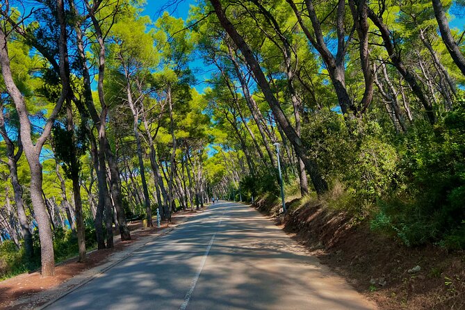 Split by Private Electric Rickshaw - Palace & Hidden Gems - What the guides add