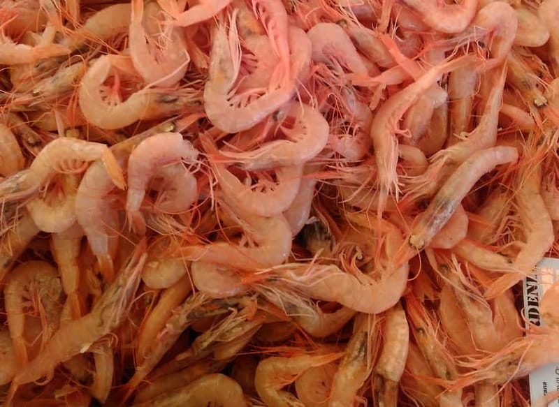Split: Food Tasting Walking Tour - The Green Market and Split’s everyday food culture