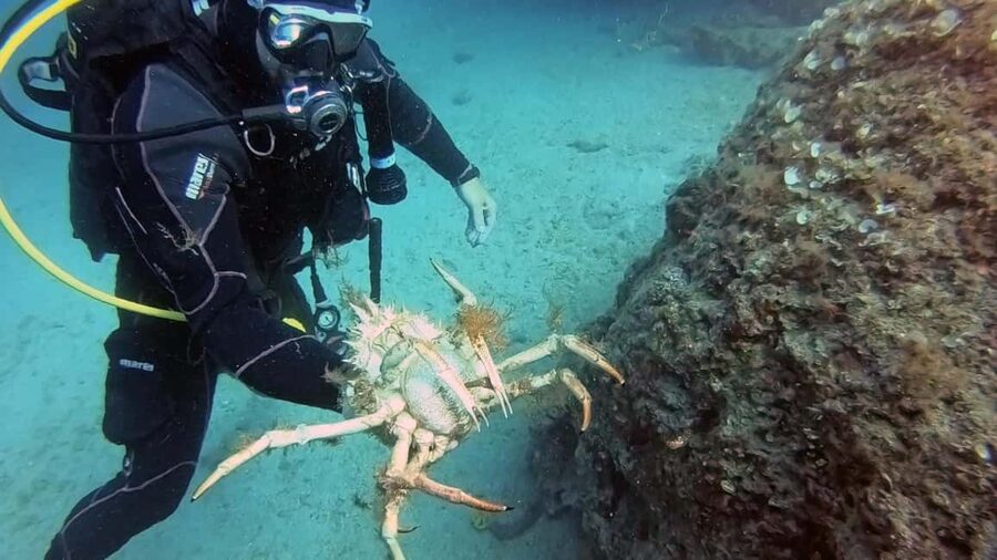 Split-Makarska-Brela Try SCUBA Dive - Should you book it?
