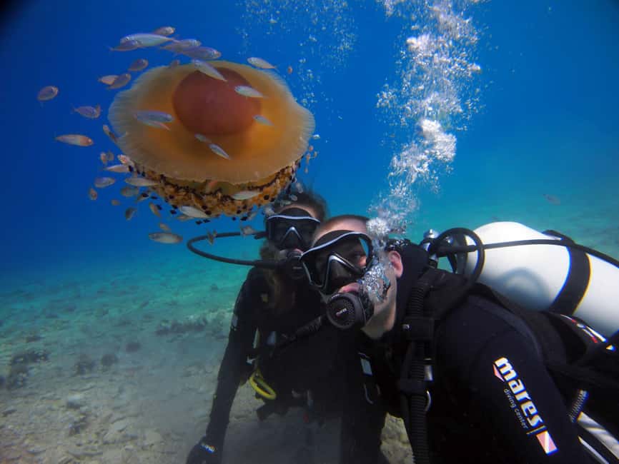 Split-Makarska-Brela Try SCUBA Dive - Why the beach entry matters in Brela