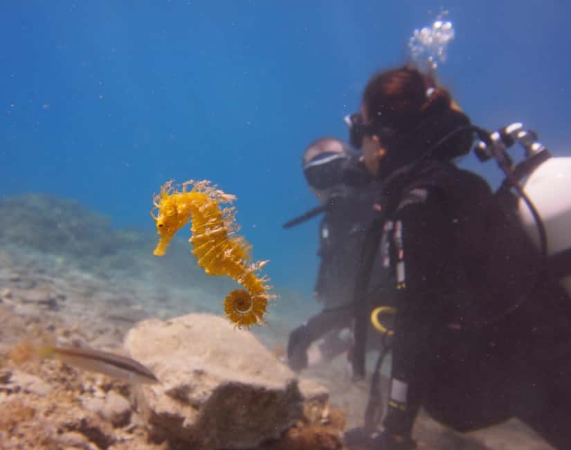 Split-Makarska-Brela Try SCUBA Dive - Your 150-minute session from check-in to the reef