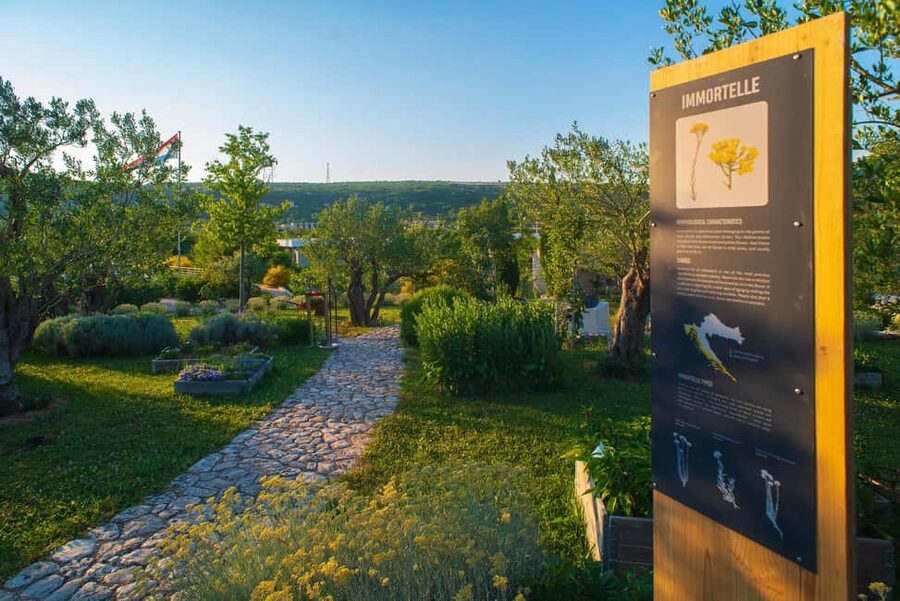 Split: Olive museum Klis with Olive Oil Tasting - What Stella Croatica near Klis actually offers