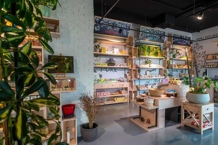 Split: Olive museum Klis with Olive Oil Tasting - The 500-species botanical collection