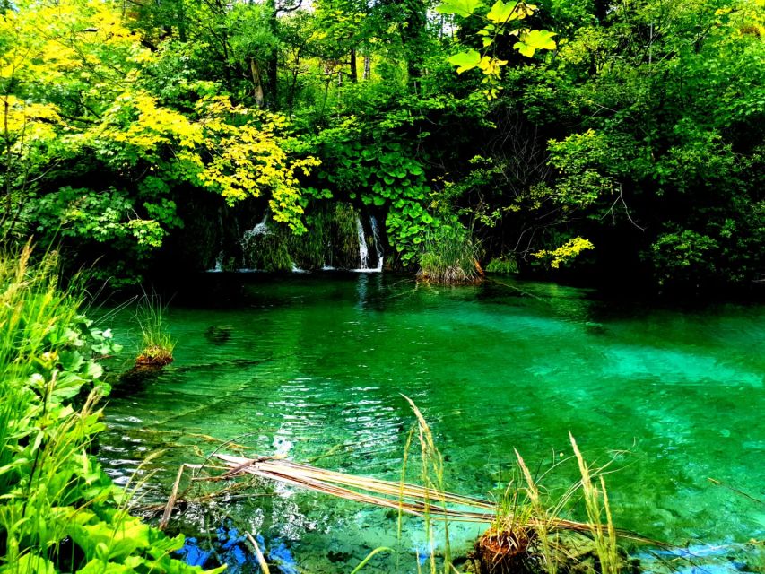 Split: Plitvice Lakes Guided Day Tour with Entry Tickets - The boat ride to the Lower Lakes
