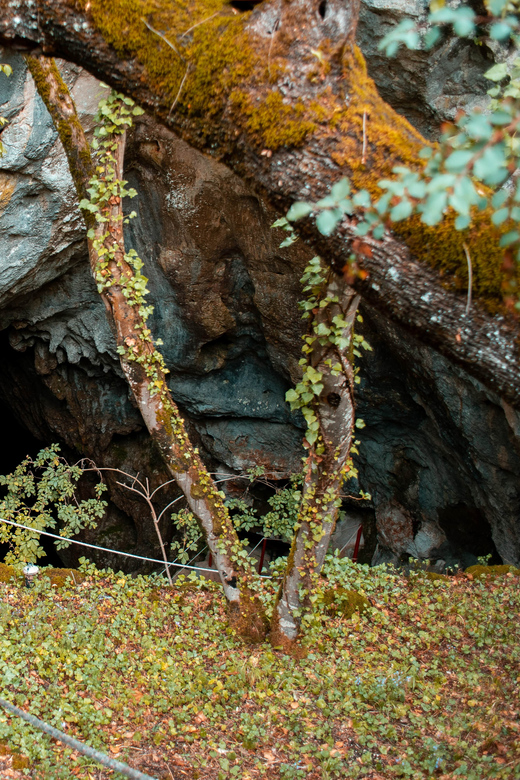 Split: Private tour to Klis Fortress and Vranjača cave - Three sides of Dalmatia in five hours