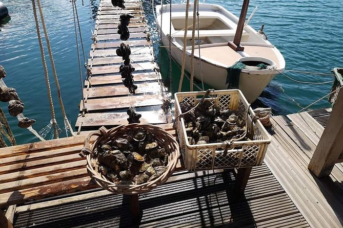 Ston Gastro Tour - The guide can shape the whole day