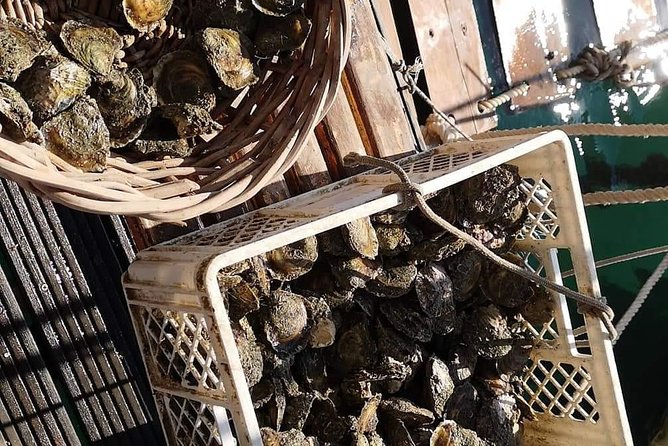 Ston Gastro Tour - Price, booking timing, and practical details