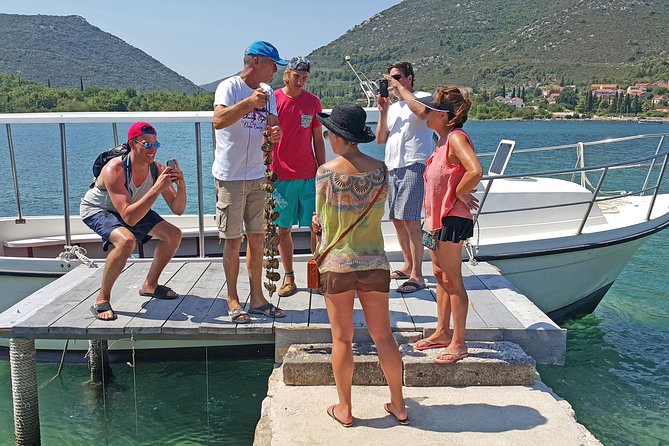 Ston Oysters & Wine Tasting Tour from Dubrovnik - Why the oyster lunch is the heart of the day