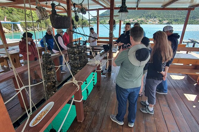 Ston Oysters & Wine Tasting Tour from Dubrovnik - Booking advice from Dubrovnik