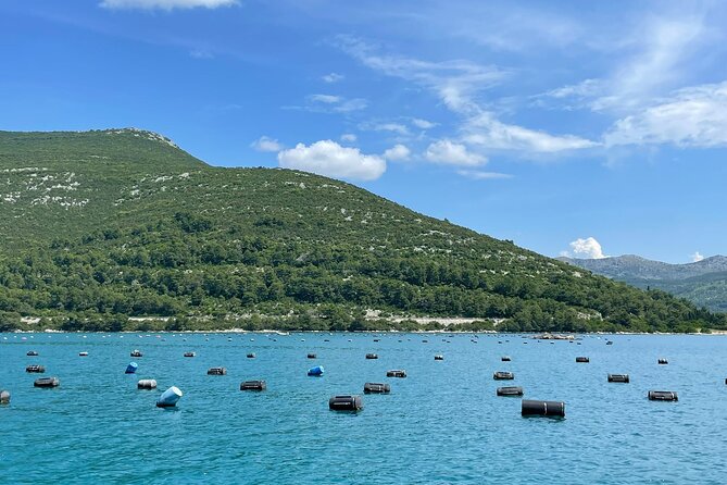 Ston Seafood & Pelješa Wine Boat Tour with Oysters and Mussels - The drive from Dubrovnik and what the timing means