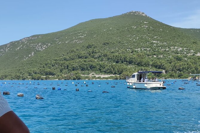 Ston Seafood & Pelješa Wine Boat Tour with Oysters and Mussels - How much value do you get for $180.72?