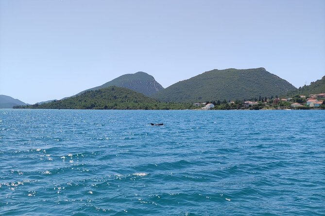Ston Seafood & Pelješa Wine Boat Tour with Oysters and Mussels - Should you book it?