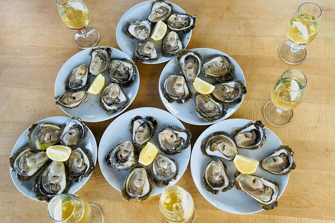 Ston Seafood & Pelješa Wine Boat Tour with Oysters and Mussels - Ston walls, salt lakes, and a short historic stop