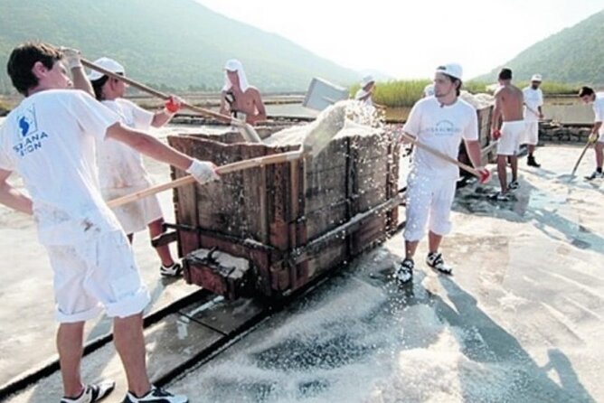 Ston Tour: City Walls, Saltworks, Wine & Adriatic Seafood - Miloš Winery and the character of Pelješac wine
