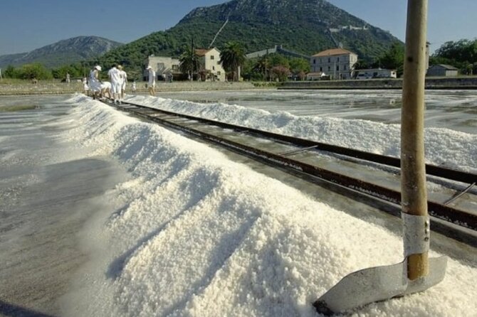 Ston Tour: City Walls, Saltworks, Wine & Adriatic Seafood - Guides, group comfort, and practical details