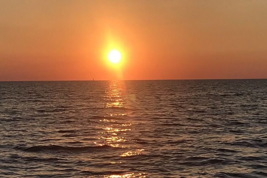 Sunset Dolphin Cruise with Dinner – Medulin Archipelago - Searching for dolphins in the Medulin archipelago